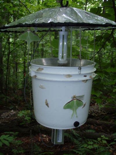 Invertebrate Traps Insect Collection Environmental Studies Wildlife