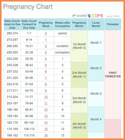 Pregnancy Calendar Week 8 Month Calendar Printable