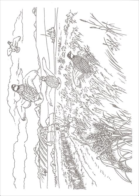 Check spelling or type a new query. Country Scenes Coloring Pages at GetColorings.com | Free ...