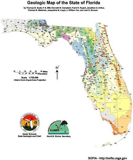 Geologic Map Of Florida Map Vector