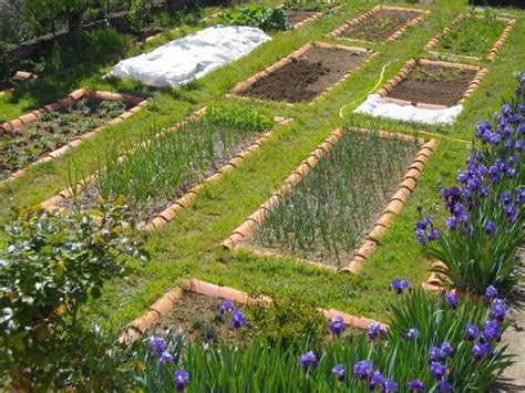 All that's required is some patience and smart tactics to get the most. 40 vegetable garden design ideas - What you need to know?