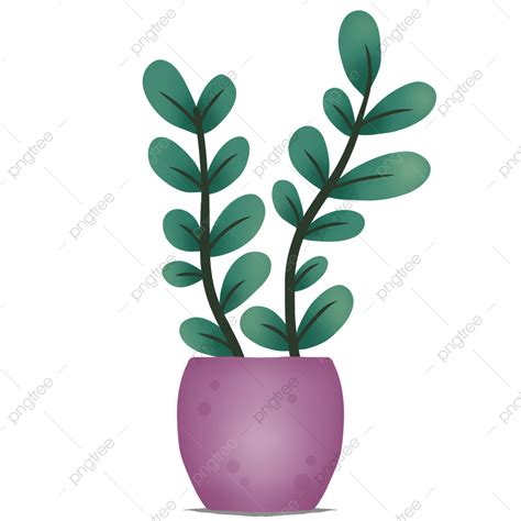 Aesthetic Plants Clipart Transparent Png Hd Aesthetic Home Plant