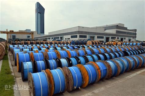 국내 2위 전선업체인 대한전선은 대주주인 사모투자펀드(pef) 운용사 imm pe가 최근 크레디트스위스(cs)를 매각주관사로 선정하고 매각자 실사를 진행 중이다. 대한전선, 전문경영인 영입이 재기의 '터닝포인트'