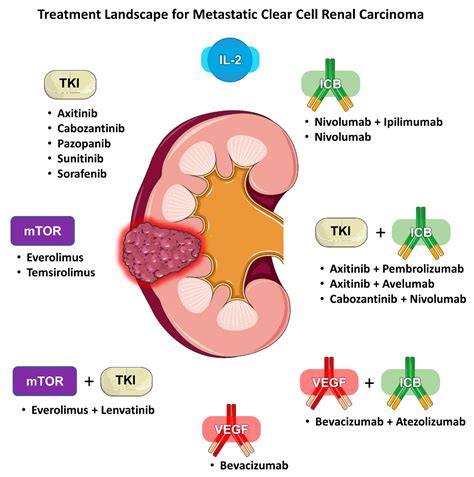 Jpm Free Full Text Biomarker Development For Metastatic Renal Cell