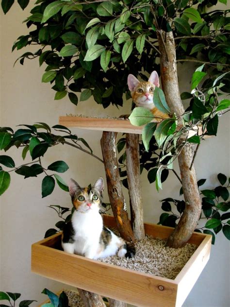 20 Cat Trees That Look Like Trees Decoomo