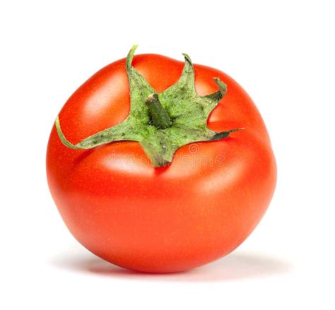 Single Round Tomato Stock Photo Image Of Produce Tomatoes 20607098