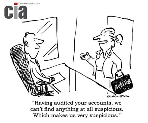 Audit Cartoon Suspicious Accounting Humor Tax Memes Humor