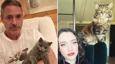 30 Celebrities Who Absolutely Love Their Cats