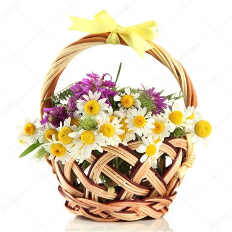 Beautiful Wild Flowers In Basket Isolated On White — Stock Photo