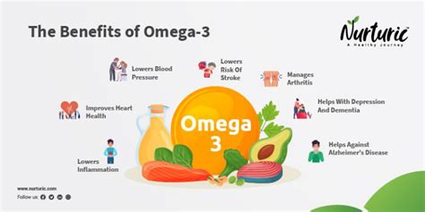 Top 10 Foods That Are High In Omega 3 Fatty Acids Health Benefits Of
