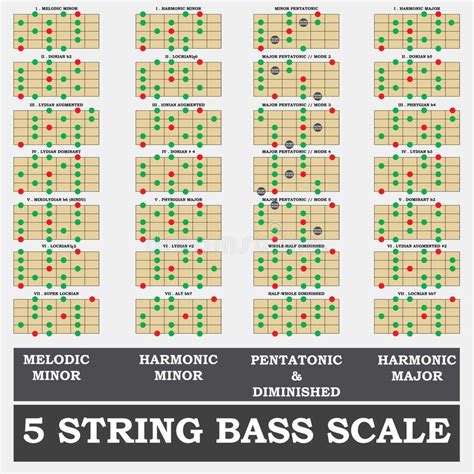 5 String Bass Scale Minor For Bass Player Teacher Stock Illustration