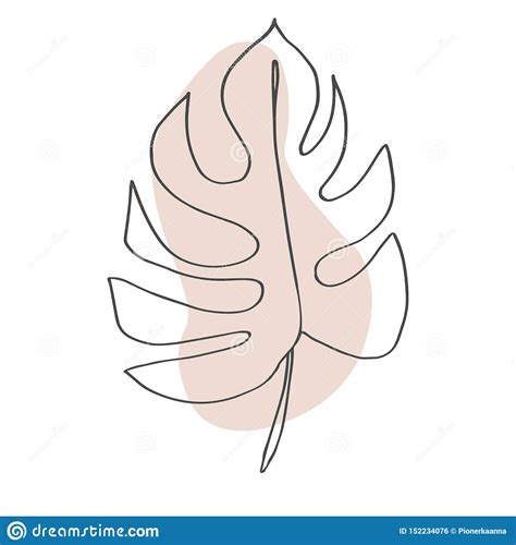 They see the project through the phases of production, edits and final execution. Contour Line Drawing Leaf Of Monstera. Modern Minimalism ...