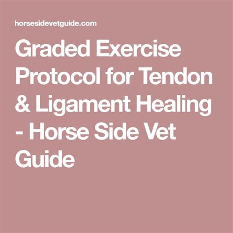 Graded Exercise Protocol For Tendon And Ligament Healing
