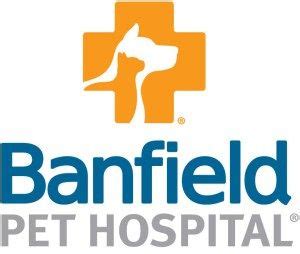 Figo pet insurance provides health insurance for your pet and reimburses you for vet bills for covered conditions and treatments. Join Banfield Client Experience Survey | Pet insurance ...