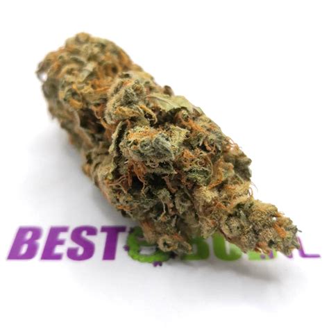 Acquista Super Silver Haze Weed BestBud Nl 2022