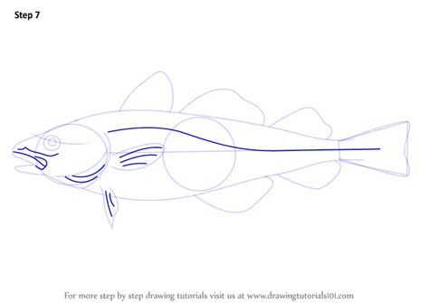 Learn How To Draw An Atlantic Cod Fishes Step By Step Drawing Tutorials