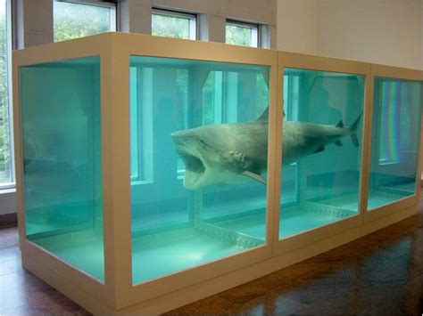Gallery wrap canvas, framed fine art prints, framed canvas art My Personal Museum: Damien Hirst: Is a Shark Art?