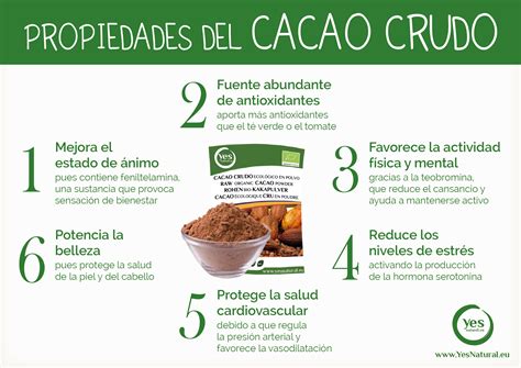 Propiedades Cacao Crudo Yesnatural Alimentos Saludables Beneficios