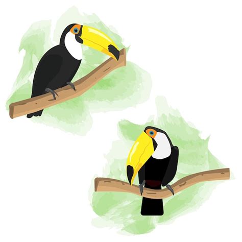 Premium Vector Toucan Sitting On A Branch Bird Vector Isolated