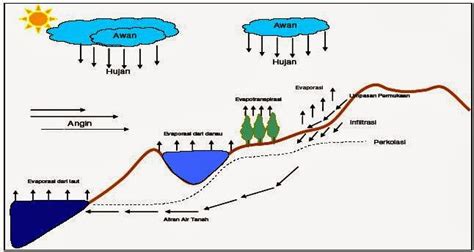 Seluruh air yang menguap ke atmosfer atau ke angkasa ini kemudian berubah menjadi awan di langit. Siklus Hidrologi (siklus air)