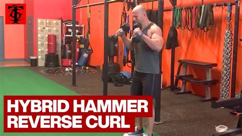 Hybrid Hammer Reverse Curl Youtube