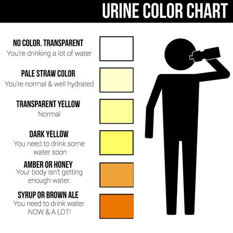 The colours on this chart should only be used as a guide and should not replace the advice of a health professional. Urine Color - Chart, What Color Is Normal, What Does It Mean