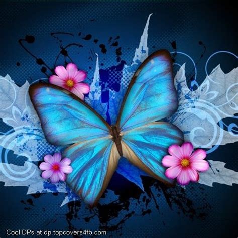 Collection by sampath • last updated 5 hours ago. Synthia Selahblue Butterfly whatsapp dp | Butterfly ...