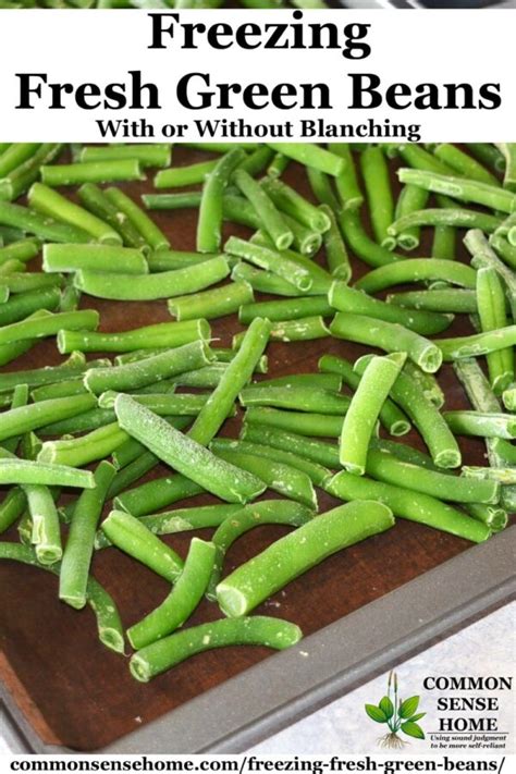Freezing Green Beans With Or Without Blanching Step By Step