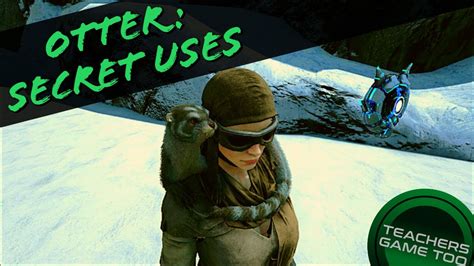 Log in to finish your rating tigers are not afraid. OTTER: UNKNOWN USES - YouTube