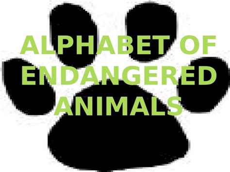 Pptx Alphabet Of Endangered Animals Dokumentips