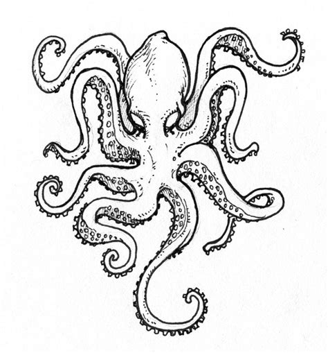 Octopus Octopus Tattoos Octopus Drawing Octopus Tattoo Design