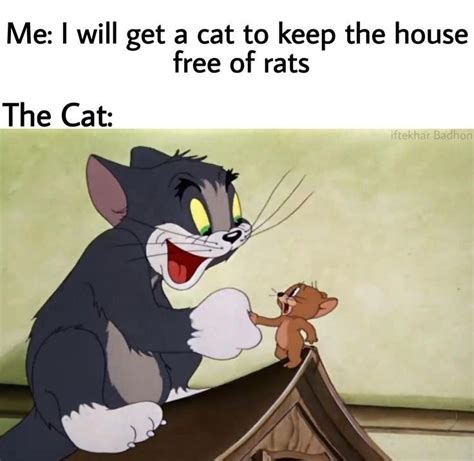 Pin On Tom And Jerry Memes Best Hilarious Memes Images