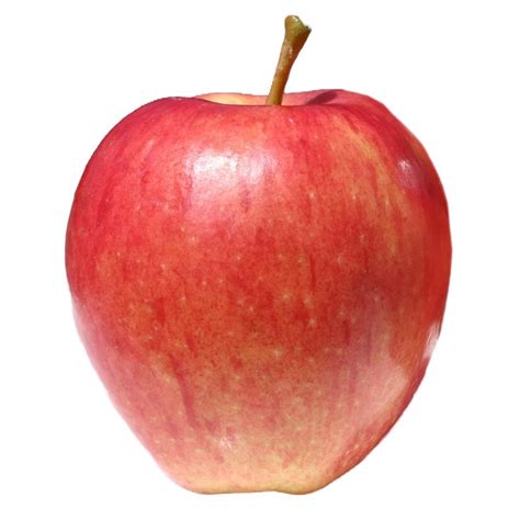 The apple the apple is the kind of fruit that people around the world like to eat. Pome Fruit Fresh Huaniu Apple Export Fresh Red Delicious ...
