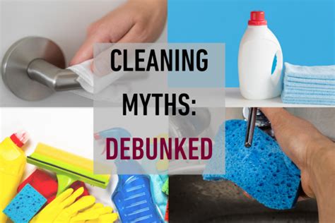7 Household Cleaning Myths Debunked Temple Health