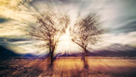 3840x2160 Resolution Two Green Trees Trey Ratcliff Hdr Landscape