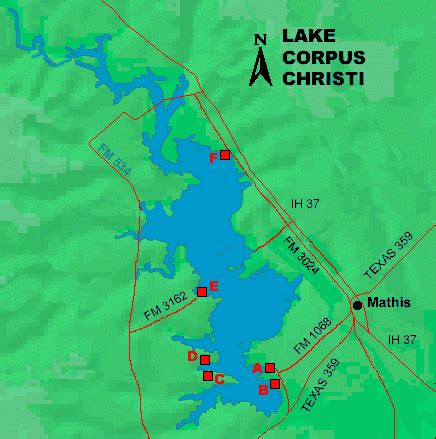 Our guests enjoy many lake activities including fishing, swimming, canoeing, and much more. Access to Lake Corpus Christi