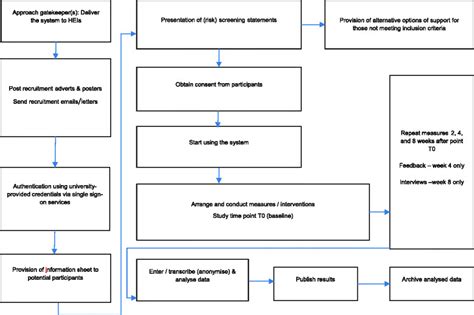 Overview Of The Study Procedure Download Scientific Diagram