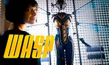 Wasp Movie Images