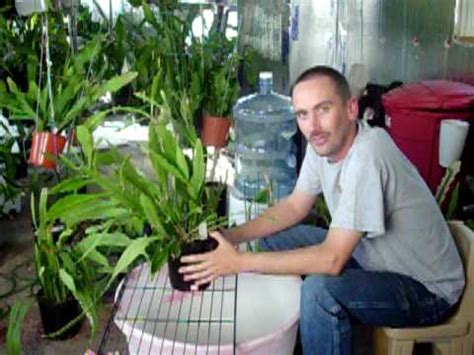 These marvelous succulents have incredible adaptations to survive the inhospitable terrains they generally inhabit. Repotting basics and big plants. - YouTube