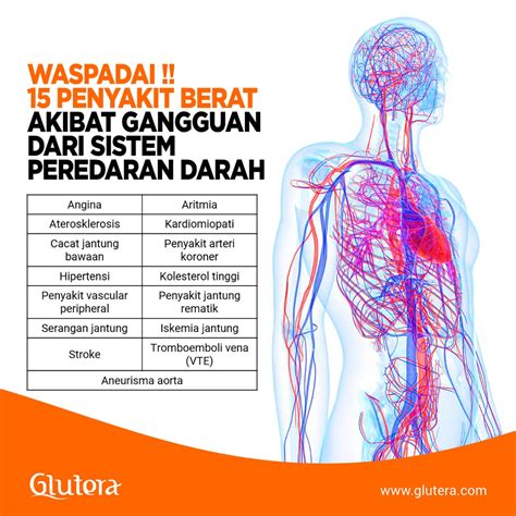 Tak hanya untuk kedua zat tersebut saja, melainkan juga memiliki banyak fungsi lain yang dimiliki oleh sistem peredaran ini. Waspadai 15 Penyakit Berat Akibat Gangguan Sistem ...