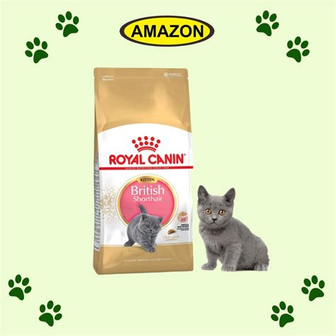 Jual Royal Canin Kitten British Shorthair 400gr Rc Canin Kitten