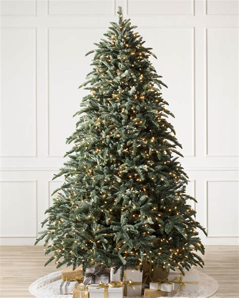 Most Popular Christmas Trees Of All Time Balsam Hill Blog