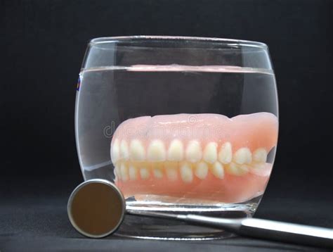 Complete Denture Stock Photo Image Of Denture Total 13610152