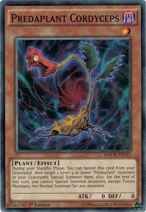 We did not find results for: Yugioh Predaplant Cordyceps (MACR-EN011) 1st edition near ...