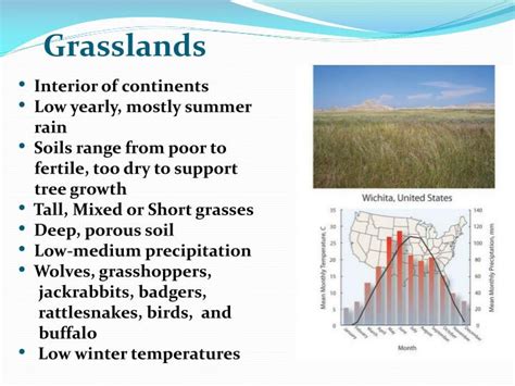 Ppt Grasslands Powerpoint Presentation Free Download Id2087026