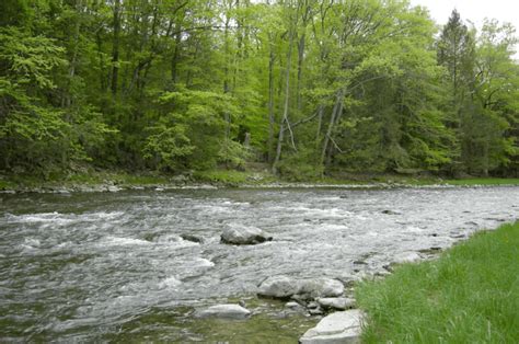 The 16 Best Trout Fishing Streams In Pennsylvania Expert Guide