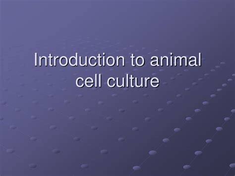 Ppt Introduction To Animal Cell Culture Powerpoint Presentation Free