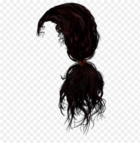 Free Download Hd Png Hair Png Free Png Images Toppng