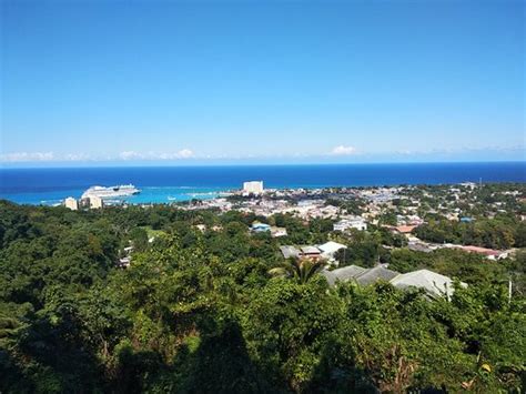 Jamaica Lion Tours Ocho Rios All You Need To Know