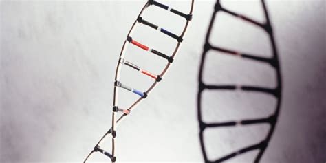 Dna Scan Uncovers 18 Genes Newly Associated With Autism